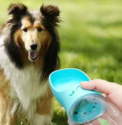 H2OGO Portable Pet Water Bottle Dispenser (12 OZ, Blue)